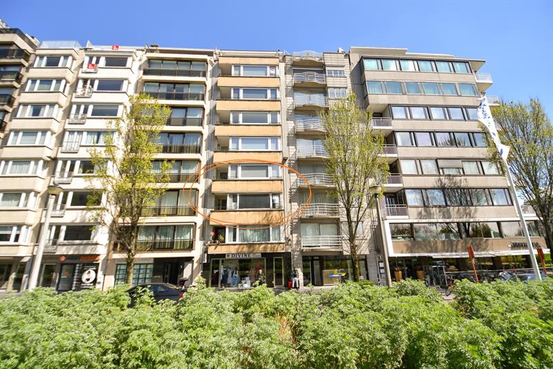RUIM LICHTRIJK APPARTEMENT met FRONTAAL ZICHT op het LEOPOLD PARK - 2