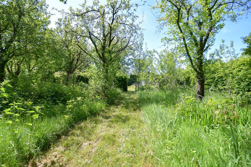 Woning en bungalow met prachtige idyllische tuin en uitweg op 2034 m² - 25