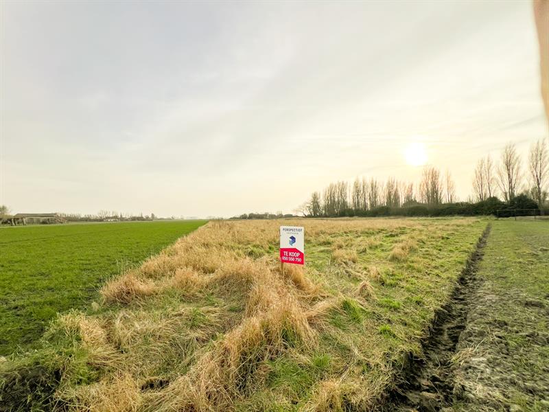 4 PERCELEN LANDBOUWGROND met een TOTALE oppervlakte van 11.340 m² - 4