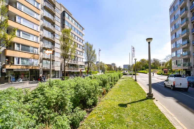 RUIM LICHTRIJK APPARTEMENT aan het LEOPOLD PARK - 1