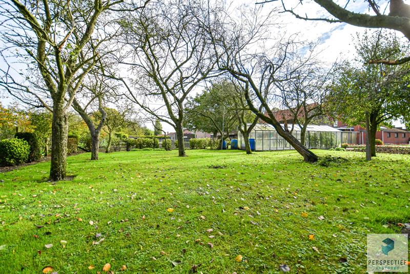 IN OPTIE - COMPROMIS IN OPMAAK | LANDELIJK GELEGEN WONING met SCHUUR  - BOOMGAARD - TUIN & MOESTUIN op 2138 m² - 36