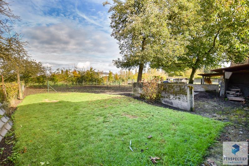 IN OPTIE - COMPROMIS IN OPMAAK | LANDELIJK GELEGEN WONING met SCHUUR  - BOOMGAARD - TUIN & MOESTUIN op 2138 m² - 10