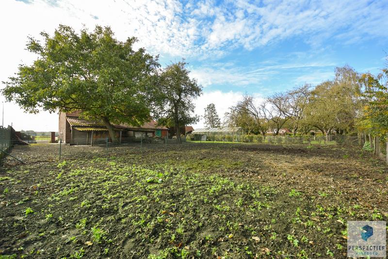 IN OPTIE - COMPROMIS IN OPMAAK | LANDELIJK GELEGEN WONING met SCHUUR  - BOOMGAARD - TUIN & MOESTUIN op 2138 m² - 34
