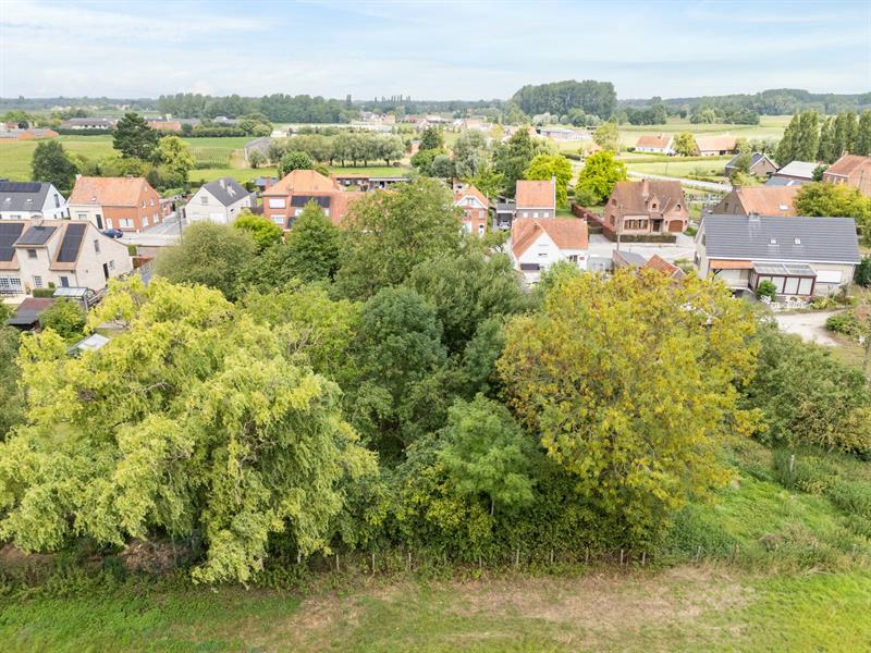 GOED GELEGEN te renoveren WONING met LANDELIJK UITZICHT op 1545m² - 4