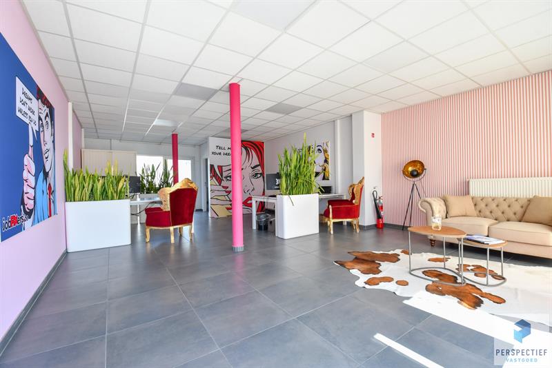 Handelsgelijkvloers en appartement te Adegem - 3