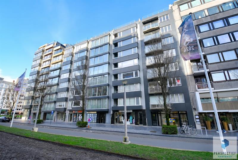 RUIM LICHTRIJK GERENOVEERD APPARTEMENT aan het LEOPOLD PARK - 1