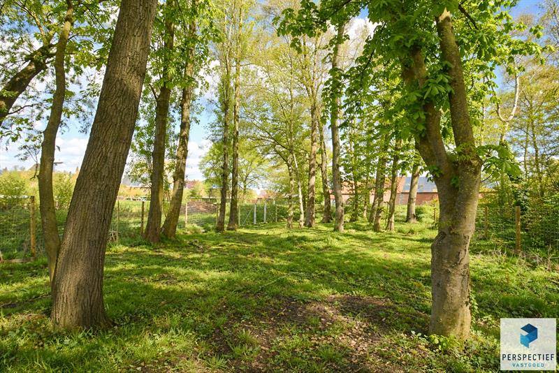 Landelijk gelegen ruime woning met tuin, kleine weide & bijgebouw gelegen in Oedelem op  1 365 m² - 4