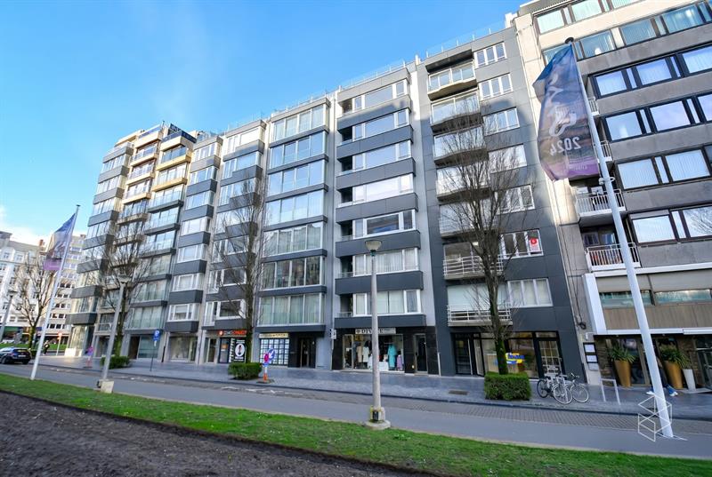 GERENOVEERD APPARTEMENT MET ZICHT OP het LEOPOLD PARK