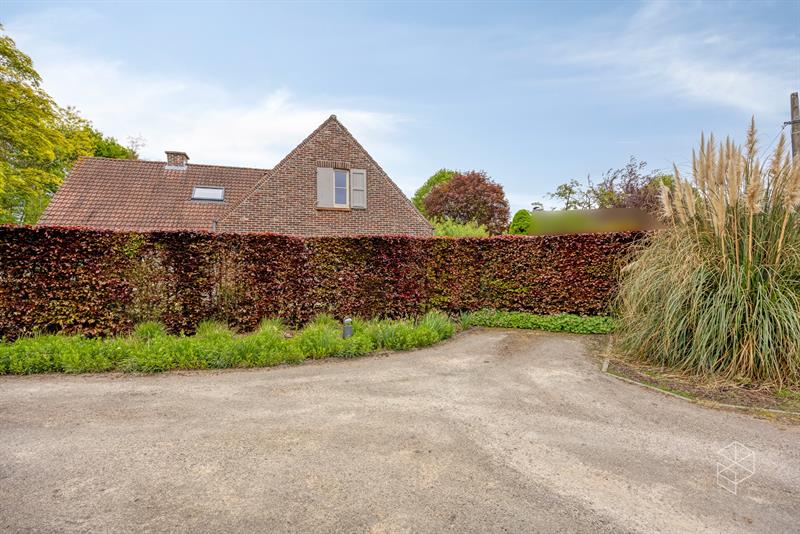 Karaktervolle villa met polyvalent bijgebouw, zwemvijver & aangelegde tuin met uitweg op 4.009m² - 8
