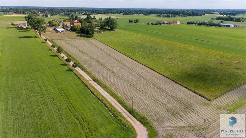 UITERST RUSTIG & LANDELIJK GELEGEN hoeve met WEILAND op ca. 6790 m² - 5