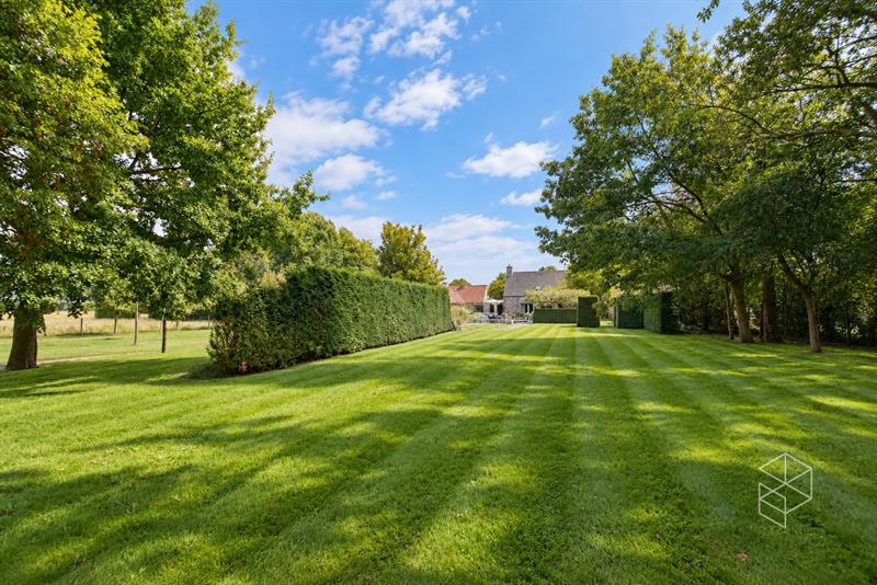IN OPTIE - COMPROMIS IN OPMAAK | Karaktervolle villa met polyvalent bijgebouw, zwemvijver & aangelegde tuin met uitweg op 4.009m² - 8