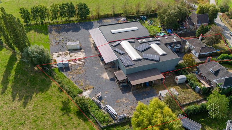 Grote loods met burelen, 3 garages, ruime buitenruimte en woning te koop in Hertsberge - 17