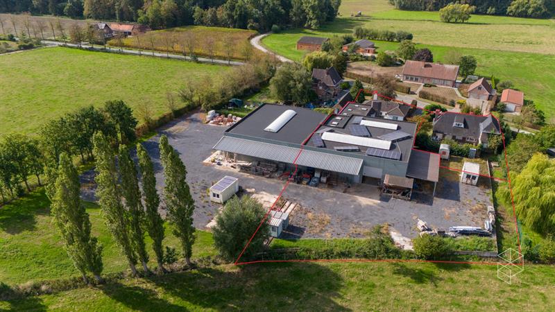 Grote loods met burelen, 3 garages, ruime buitenruimte en woning te koop in Hertsberge - 20