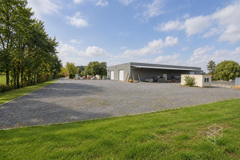 Grote loods met burelen, 3 garages, ruime buitenruimte en woning te koop in Hertsberge - 1
