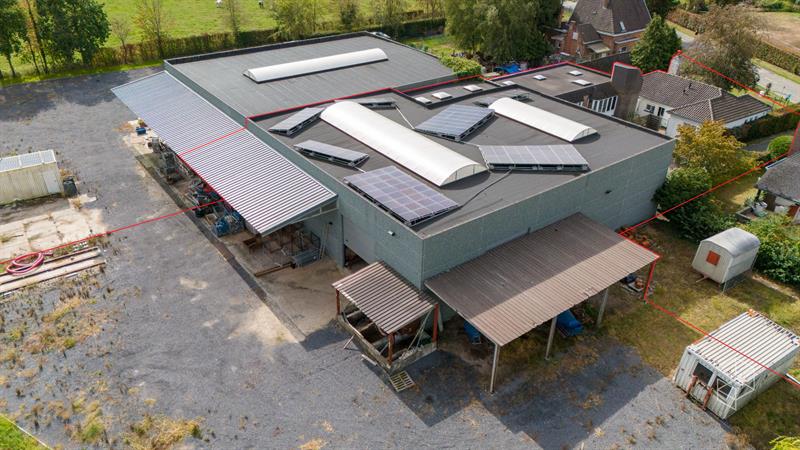 Grote loods met burelen, 3 garages, ruime buitenruimte en woning te koop in Hertsberge - 19