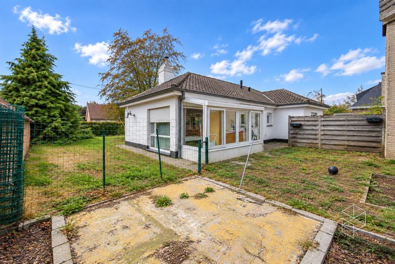 Grote loods met burelen, 3 garages, ruime buitenruimte en woning te koop in Hertsberge