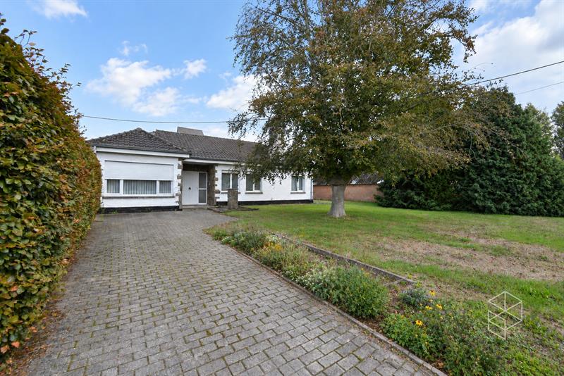 Grote loods met burelen, 3 garages, ruime buitenruimte en woning te koop in Hertsberge - 18