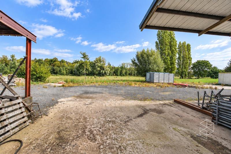 Grote loods met burelen, 3 garages, ruime buitenruimte en woning te koop in Hertsberge