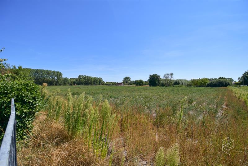 Landhuis met zwembad, bijgebouw en weide op 10 570 m² - 9