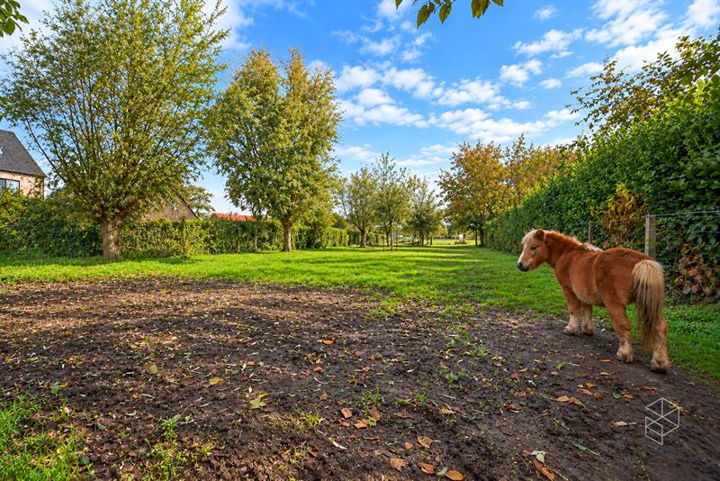 Ruime en lichtrijke gezinswoning met 4 slaapkamers, extra leefruimte en grote tuin - 3