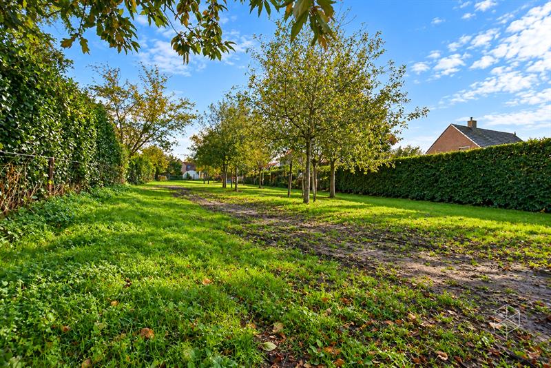 Ruime en lichtrijke gezinswoning met 4 slaapkamers, extra leefruimte en grote tuin - 4